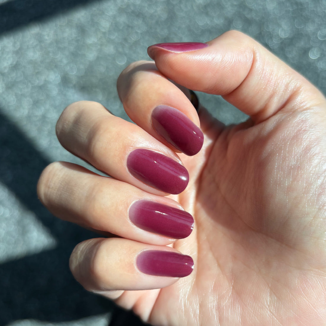 Sheer burgundy