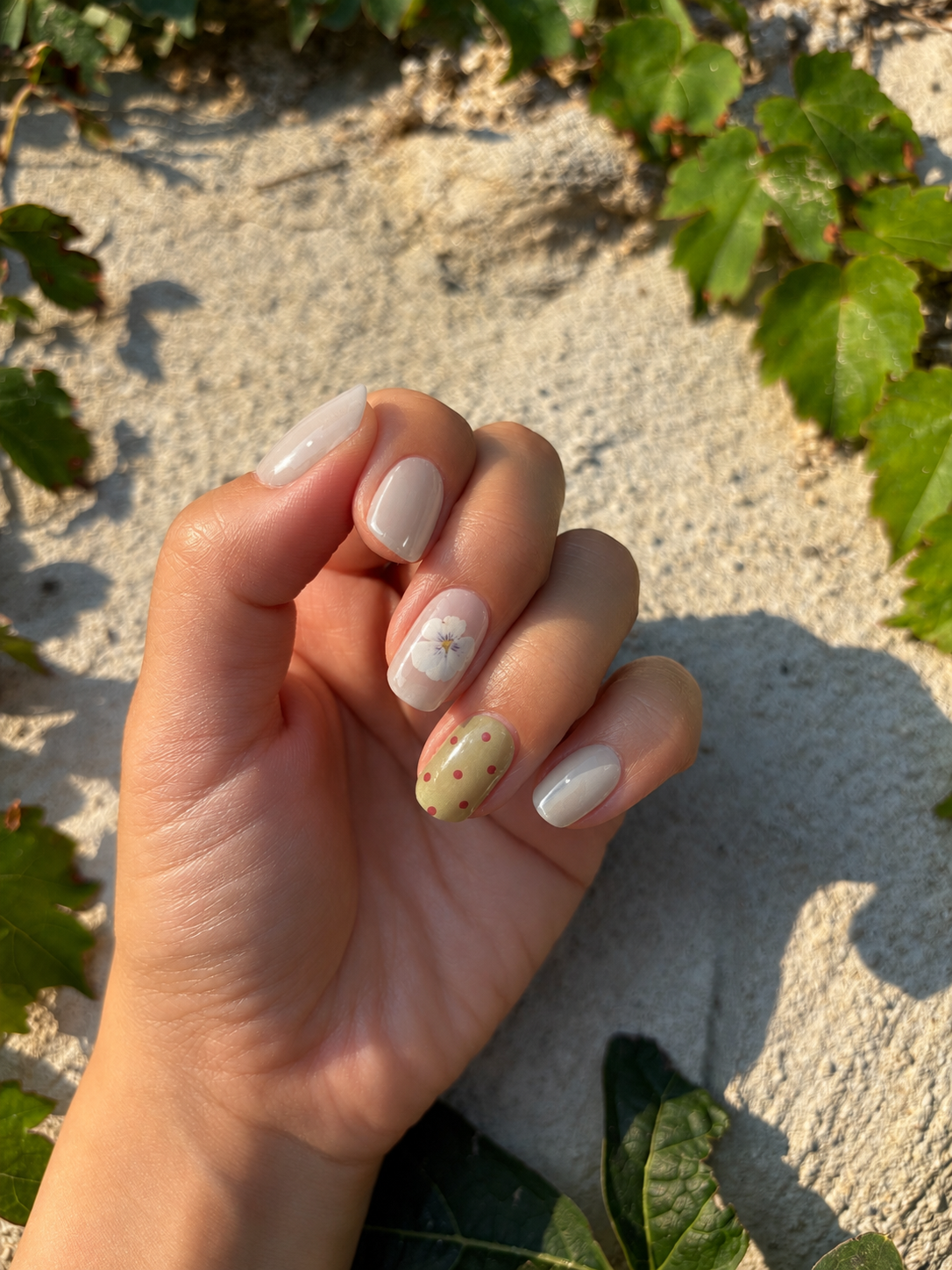 Pear Blossom
