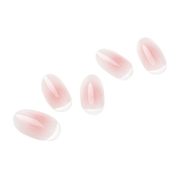 코랄 치크  Coral Cheek