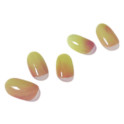 피그먼트 Figment