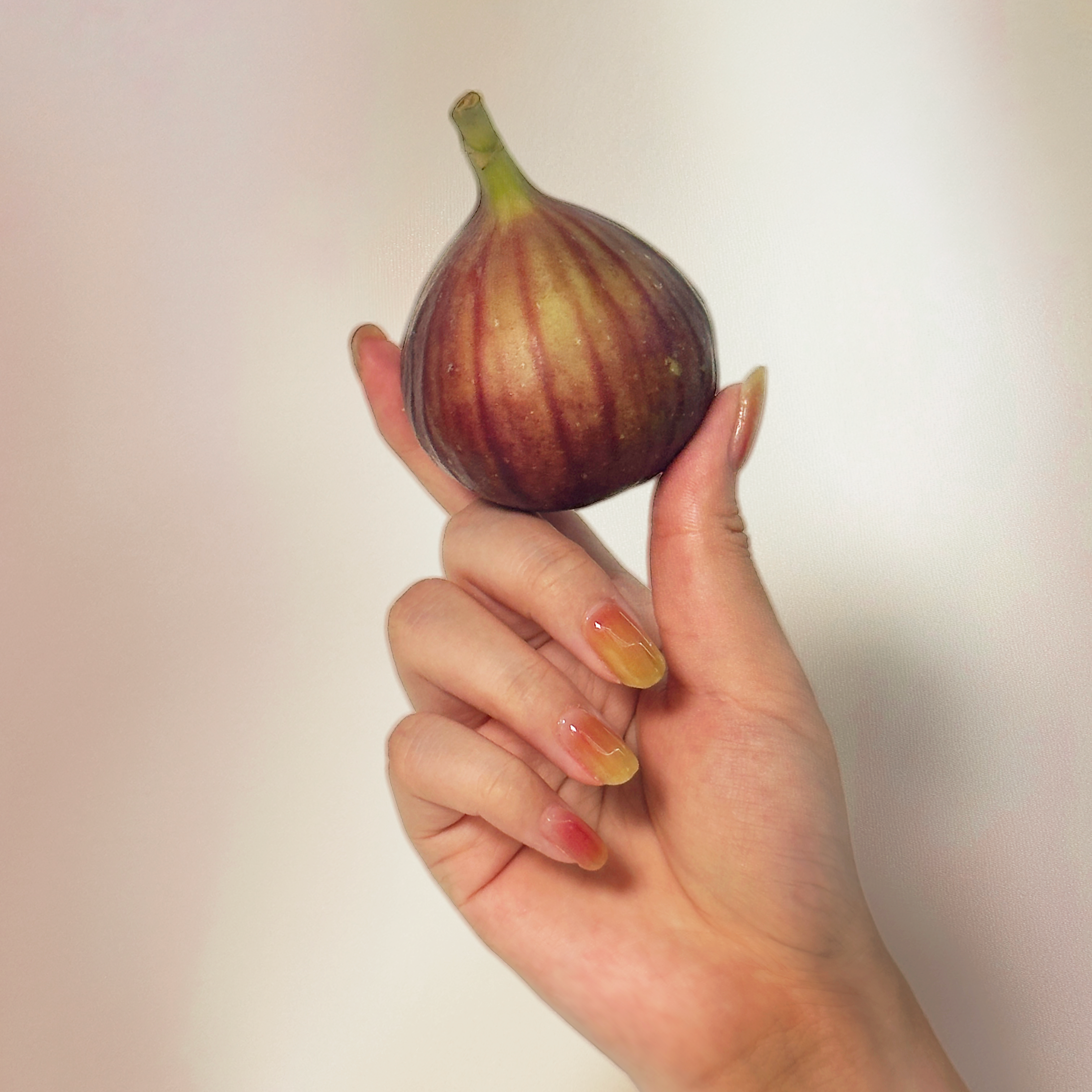 피그먼트 Figment