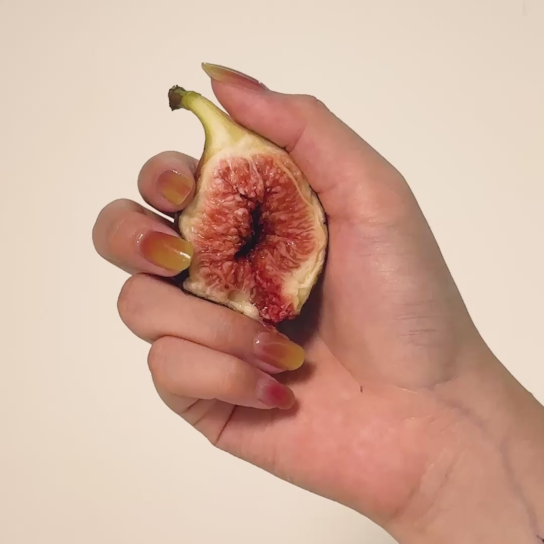 동영상 로드: 피그먼트 Figment