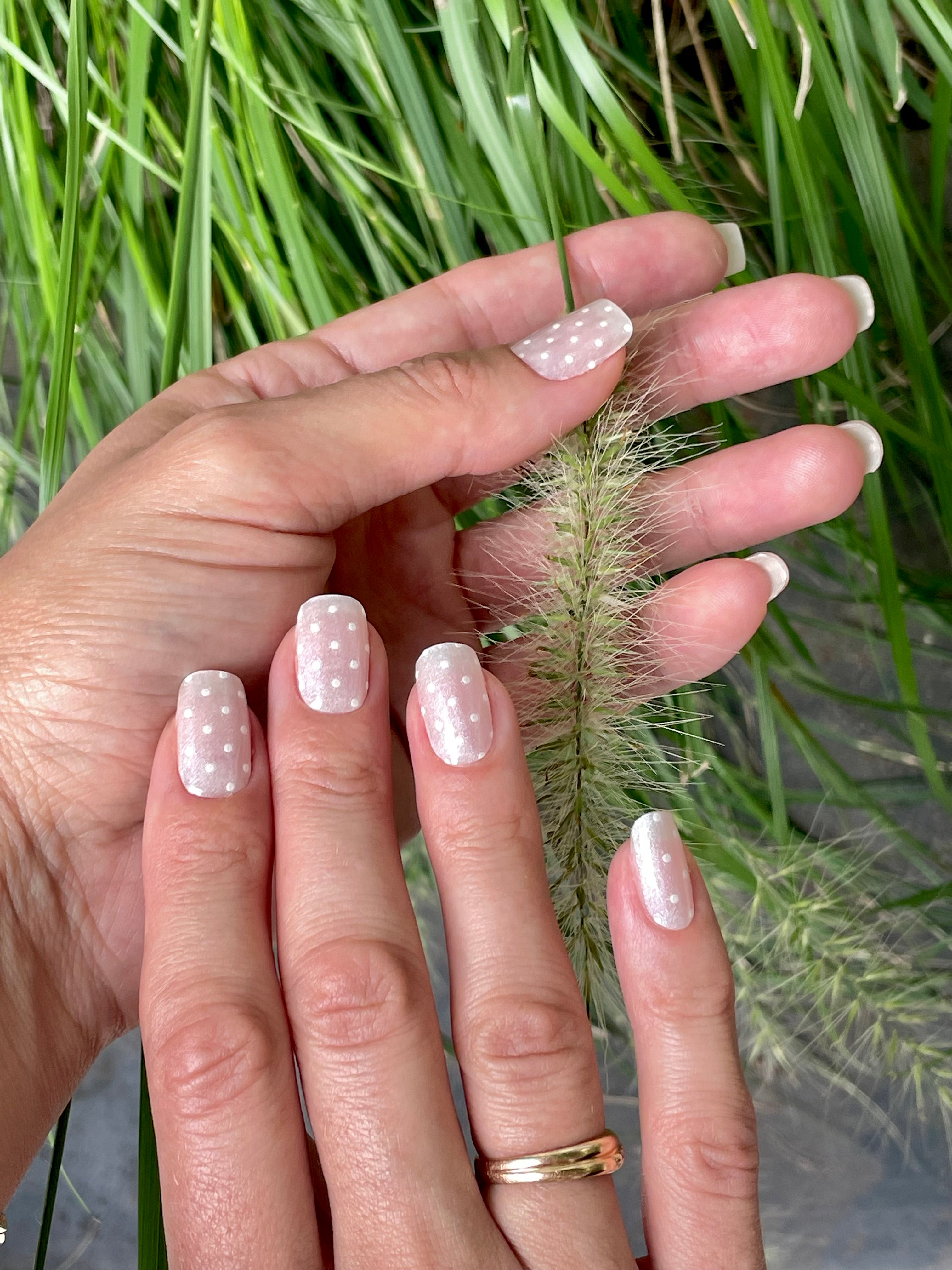 글레이즈드 도트 Glazed dots